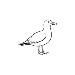 Obraz premium seagull