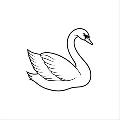swan