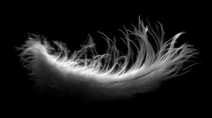 Floating feather captures delicate beauty with soft light creating a serene and weightless presence in the air
