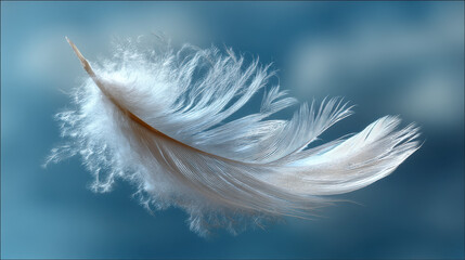 Floating feather drifts softly through the air, illuminated by gentle light revealing its delicate textures and creating a serene atmosphere of tranquility