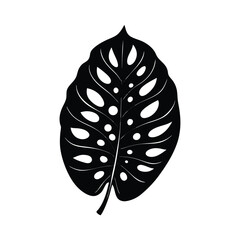 a monstera leaf with holes