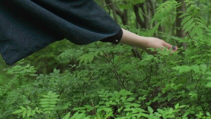 Fototapeta premium Embarking on a Journey of Discovering Nature Gathering Plants Amidst Lush Greenery Vastness. Media
