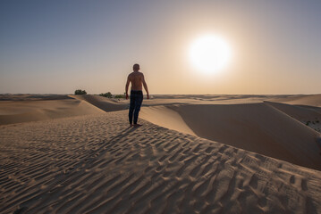 A man enjoy beautiful sunset sunrise with date palm tree in the desert sand dune Oasis.