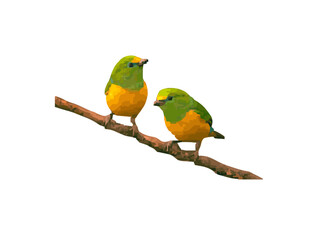 vector or illustration of a bird perched on a wooden branch