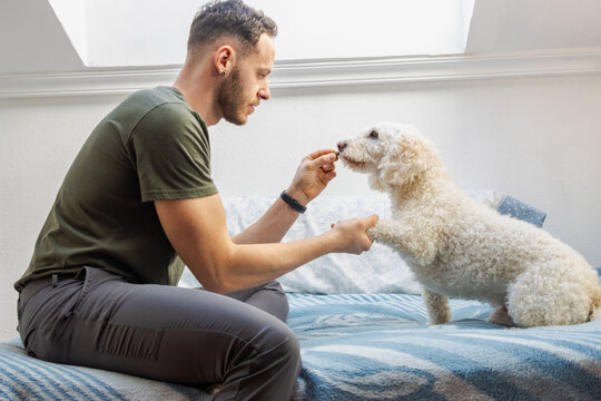 Man feeding his dog a treat on bed: showing love and care