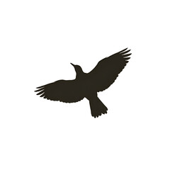 Bird silhouette dark bird soars with wings spread against a light sky
