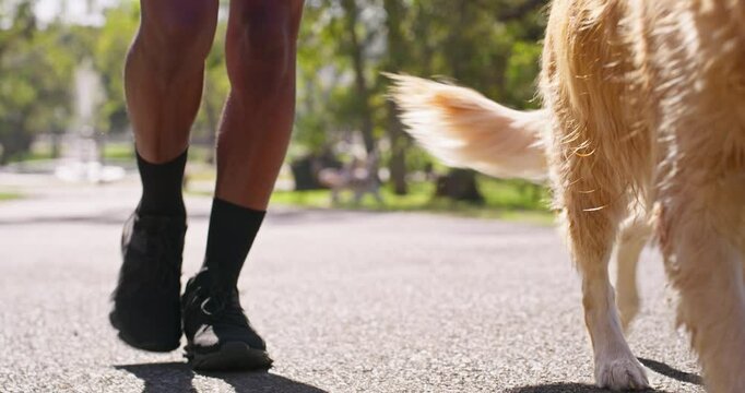 Interracial couple, legs and walking with dog at park for bonding, animal care or fresh air in nature. Man, woman and pet with leash for stroll together on path, road or sidewalk at outdoor forest