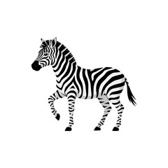 Naklejka premium Zebra illustration standing animal with black and white stripes, side view, isolated