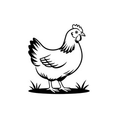 Obraz premium Chicken on grass illustration, outline style, farm animal, poultry, hen, bird