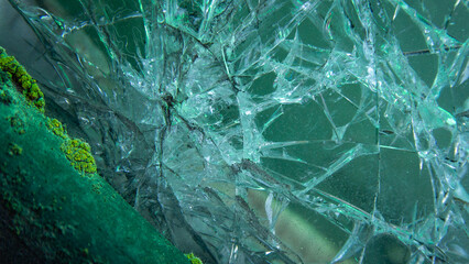 Abstract texture of broken glass with green moss growing around the edges