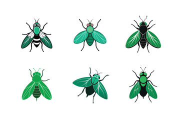 Lucilia sericata (Common green bottle fly), silhouette vector illustration