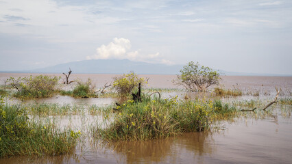 The landscape of Lake Manyara in Tanzania