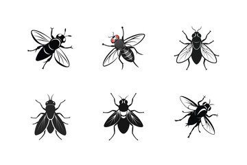 Musca domestica (Common housefly), silhouette vector illustration