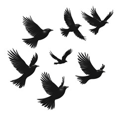 Obraz premium Dark abstract backgrounds for photography and design purposes