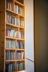 bookshelf in the library