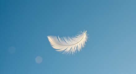 Naklejka premium White Feather Floating Gently Against the Clear Blue Sky Backdrop