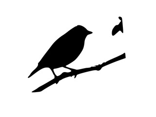 vector or illustration of a bird perched on a wooden branch