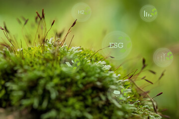 Sustainable growth concept with moss and ESG icons
