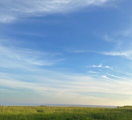 Obraz premium Serene Coastal Meadow with Expansive Blue Sky and Wispy Clouds at Sunset