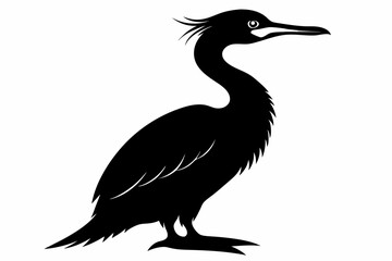 Fototapeta premium cormorant sihouette black vector