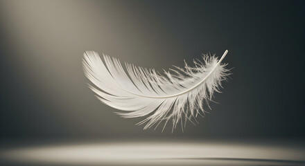 Obraz premium Single Feather Floating Elegantly Against a Gradient Backdrop Scene