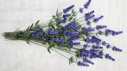 Fresh Lavender Bouquet on Textured White Background