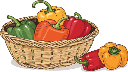 Capsicum vector design, Capsicum in wicker basket in white background vector design