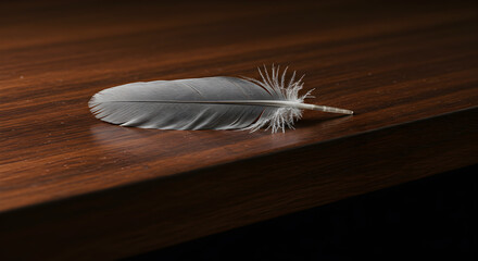 Single Feather Gently Resting on Wooden Surface For Artistic Composition