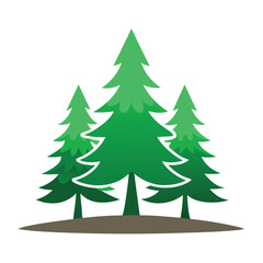 Cedar trees icon on white background 