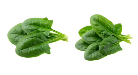 Fresh Spinach Arrangement with Number One for Nutrition Concept