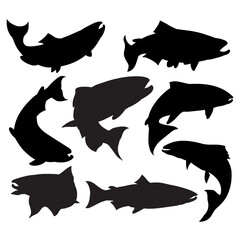 The Salmon fish Silhouette for sport or food concept.