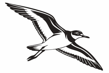 plover sihouette black vector