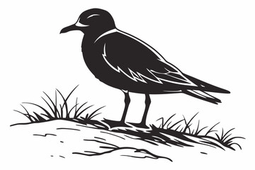 Obraz premium plover sihouette black vector