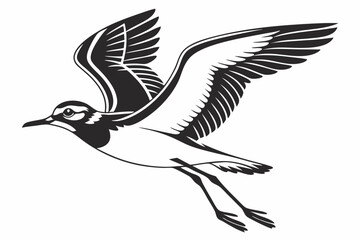 Fototapeta premium plover sihouette black vector