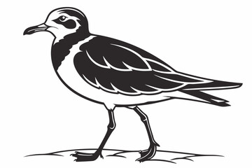 plover sihouette black vector