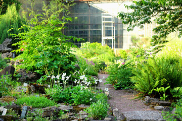 a path in the park along the flowering trees. spring landscape in the botanical garden.