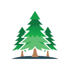 Cedar trees icon on white background 
