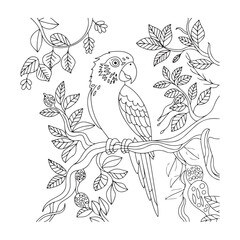 Naklejka premium Beautiful parrot drawing with detailed feathers and nature elements like flowers and leaves for adults and kids.