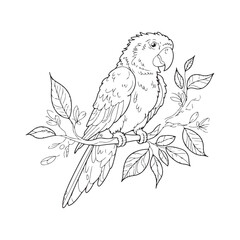 Elegant parrot with detailed feathers, perched on a branch, surrounded by tropical foliage and flowers, perfect for coloring books.