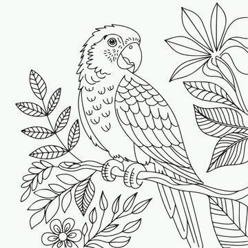 A beautiful line drawing of a parrot on a branch, surrounded by floral designs, perfect for nature-themed coloring pages.