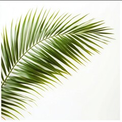 Obraz premium Lush Green Palm Frond