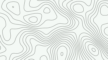 Minimalist Topographic Line Pattern on Light Background