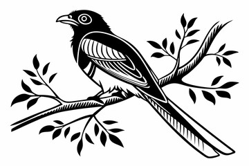 trogon sihouette black vector