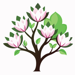 Magnolla trees icon on white background 