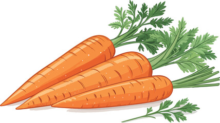 Carrot Illustration vector design, Carrot in white background Illustration vector design