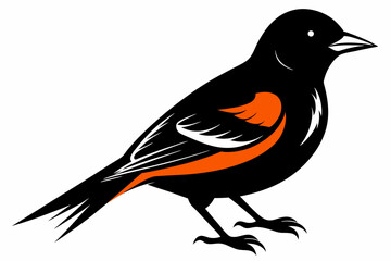 Obraz premium oriole sihouette black vector