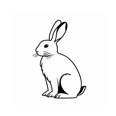 vector illustration of a rabbit with white background