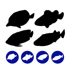 set of fish