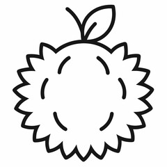 Rambutan outline icon on white background	