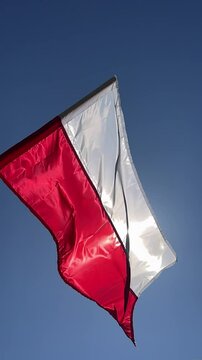 Polska flaga na wietrze